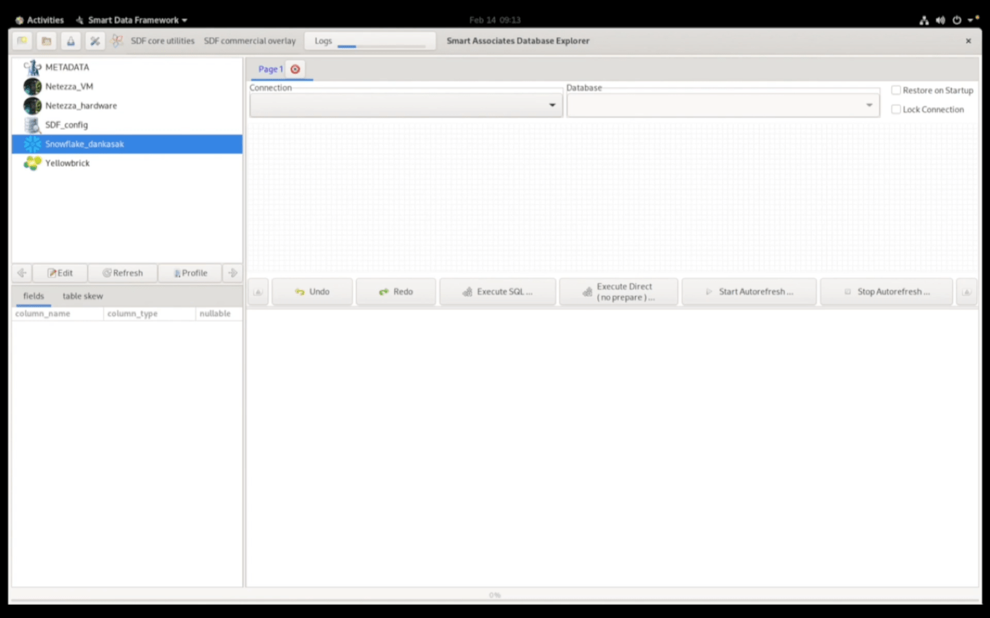 Database Explorer showing connections to Netezza, Snowflake, Yellowbrick, and other platforms